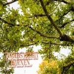 kupferne Herbstszeit (Teil 3) – Trauung unterm Baum